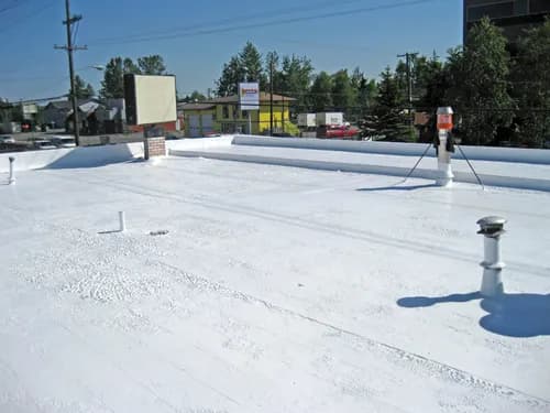 Alaska Roof Restorations - Photo 3