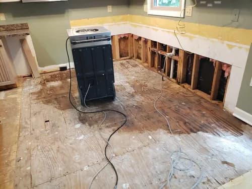 All in 1 Mold Contractors - Photo 1