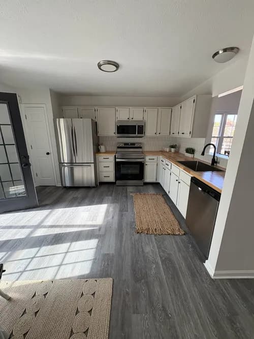 All in 1 Mold Contractors - Photo 2