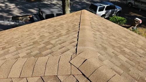 Army Ants Roofing, LLC - Photo 3