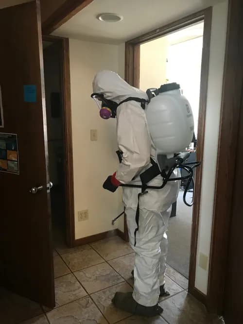 AVID RESTORATION - Photo 2