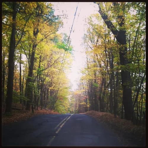 Bender Inspection Services, LLC - Photo 1