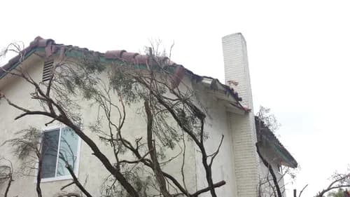 Best Professional Roofing