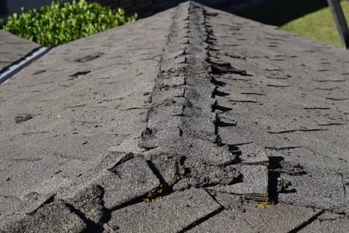 Big Tree Roofing and Inspections - Photo 1