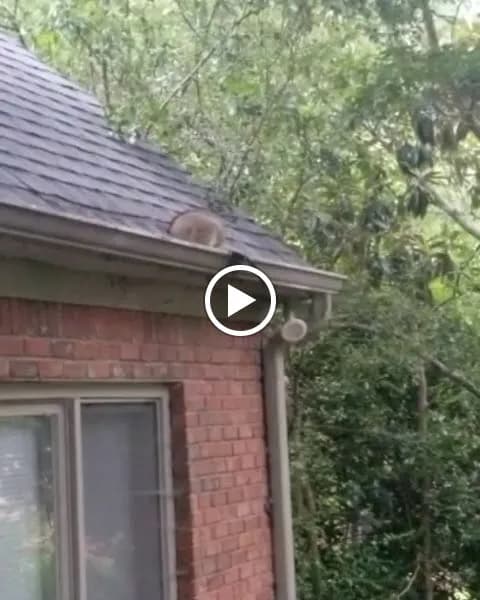 Blue Angels Roofing - Photo 2