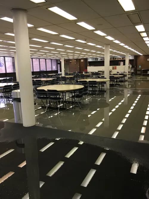 BluSky Restoration Contractors