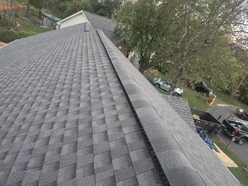 BOG Roofing