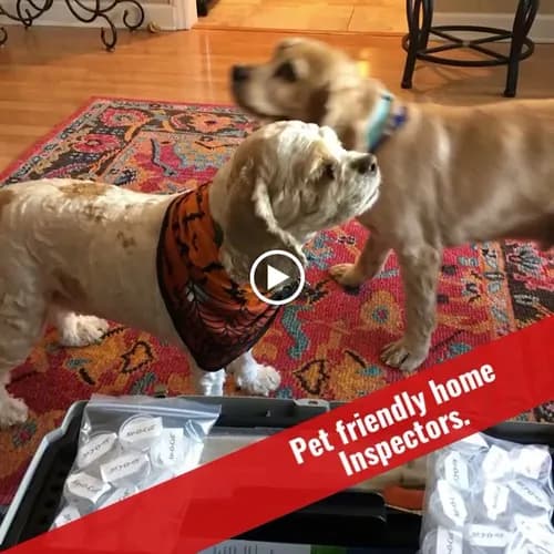 Certified Inspectors, LLC - Photo 2