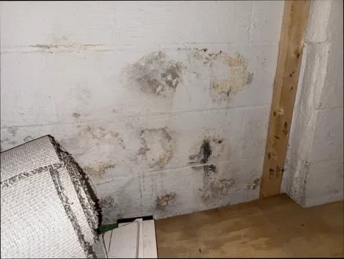 Detailed Home Inspections Cleveland Ohio - Photo 4