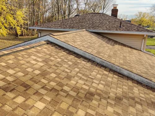 Dynamic Roofing Solutions