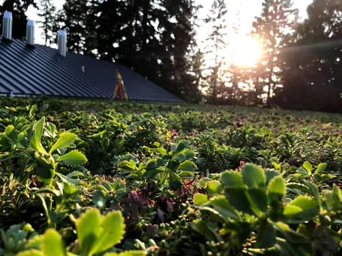 Element Smart Roofing - Photo 1