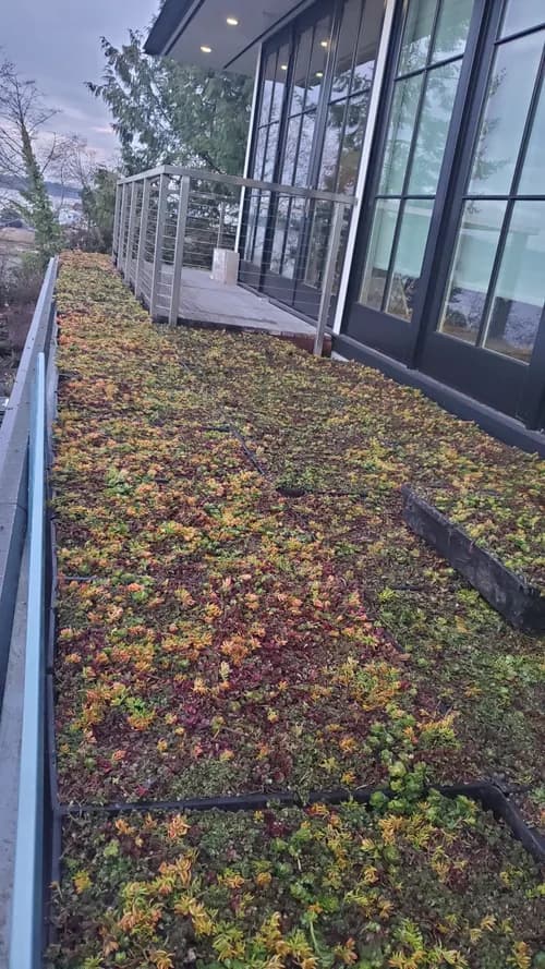 Element Smart Roofing - Photo 2