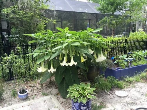 Florida Roof Masters Inc - Photo 1