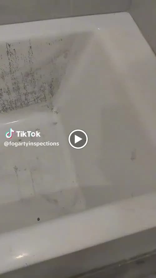 Fogarty Inspection Services Group LLC - Photo 3