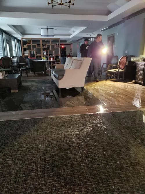 Gold Star Property Restoration, Inc. - Photo 3