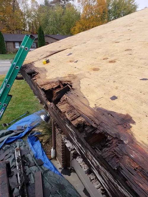 Honest Abe Roofing Fort Wayne - Photo 3