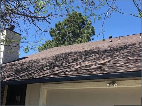 Houston Family Roof Architecture - Photo 5