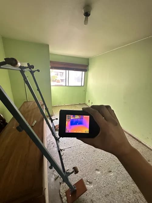 Inspector Sammy - Home and Mold Inspections