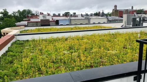 Jet Renovation - Photo 1