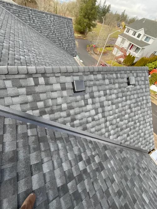 LION ROOFING & EXTERIORS LLC - Photo 4