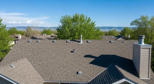 Lion Roofing - Fort Collins - Photo 3
