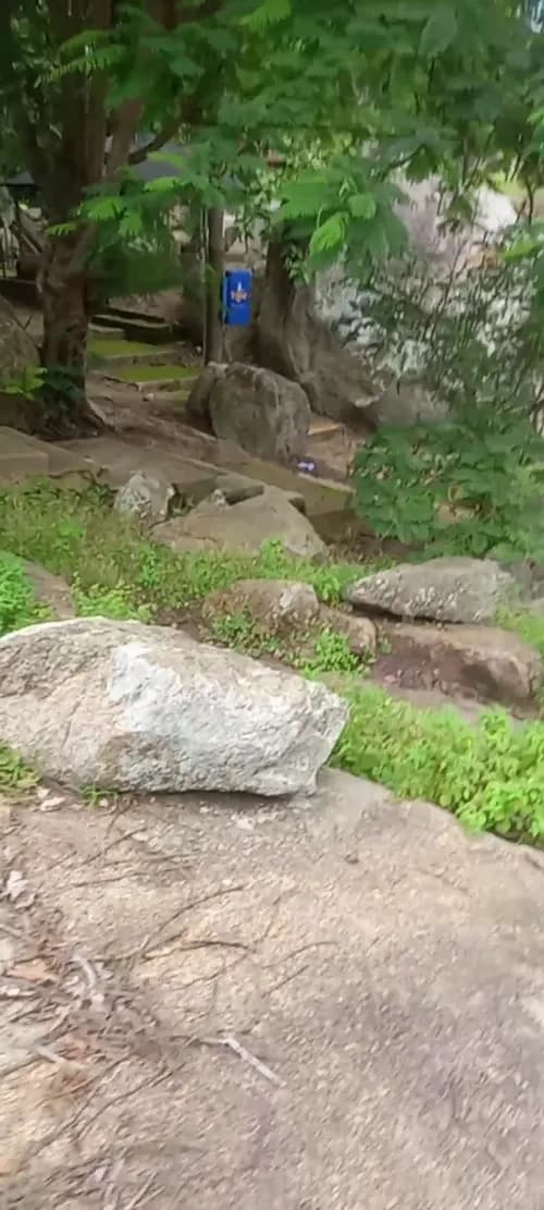 Manning Roofing, Siding, and Windows - Photo 5