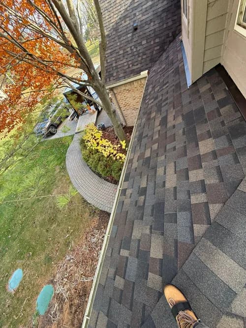 Michigan Home Restoration - Photo 3