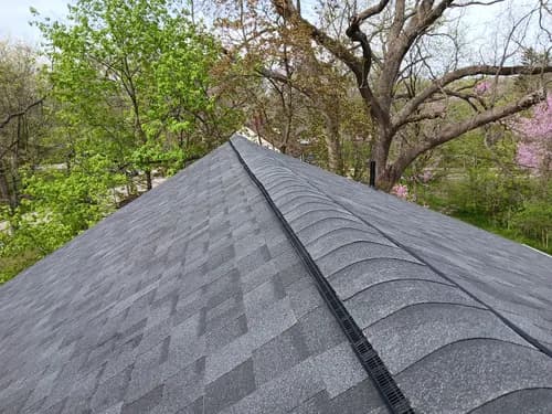 Mighty Dog Roofing of Ann Arbor - Photo 3