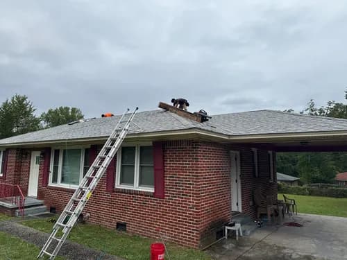 Mighty Dog Roofing of Columbia - Photo 1