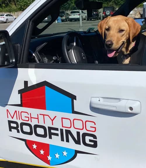 Mighty Dog Roofing of MetroWest Boston - Photo 1