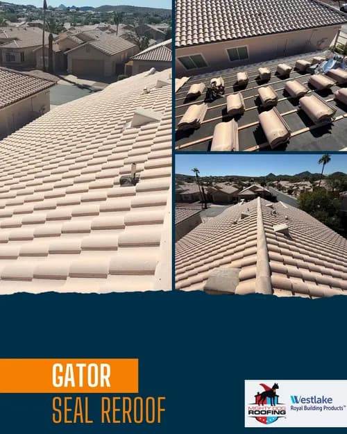 Mighty Dog Roofing of Southeast Valley Phoenix - Photo 4