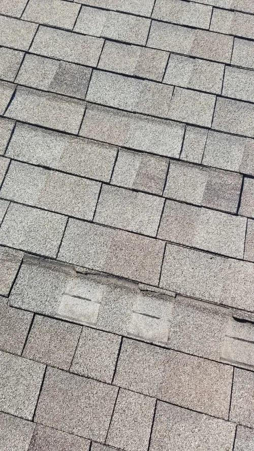 Mossible Solutions - Photo 3