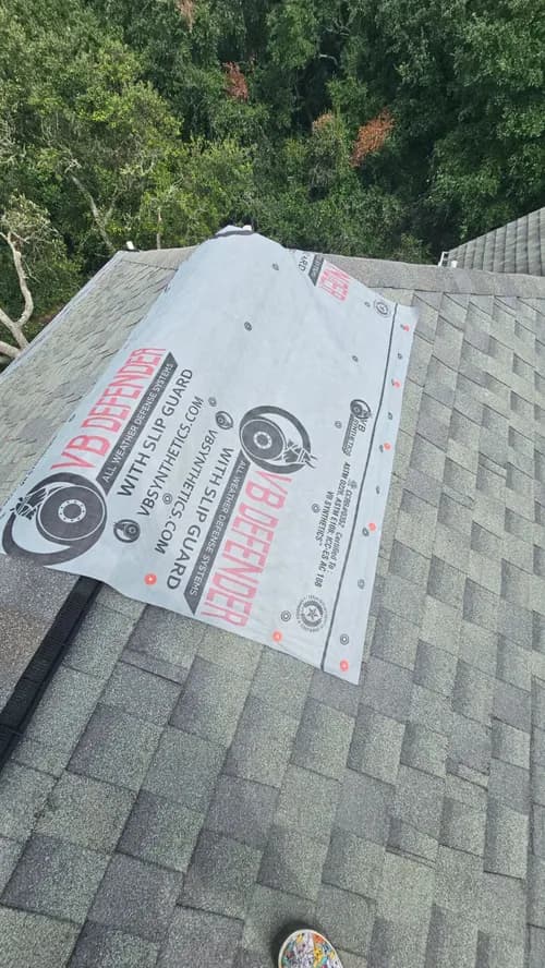 Mossible Solutions - Photo 4