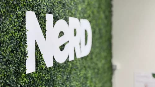 NeRD