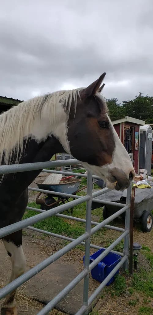 Norm Armstrong Roofing Inc - Photo 4