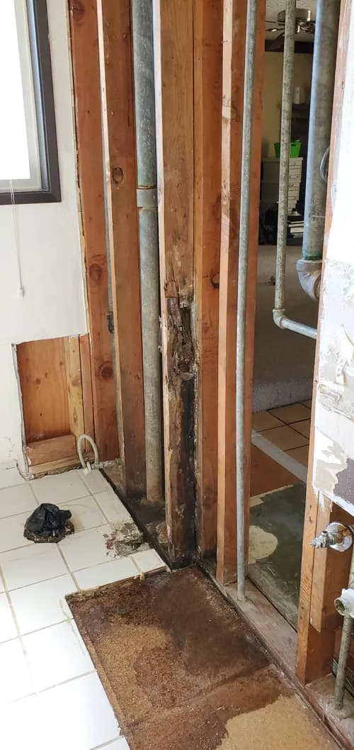 Octopus Home Inspections - Photo 5