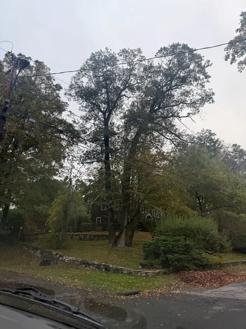 Paul Casey & Sons Roofing Llc - Photo 1