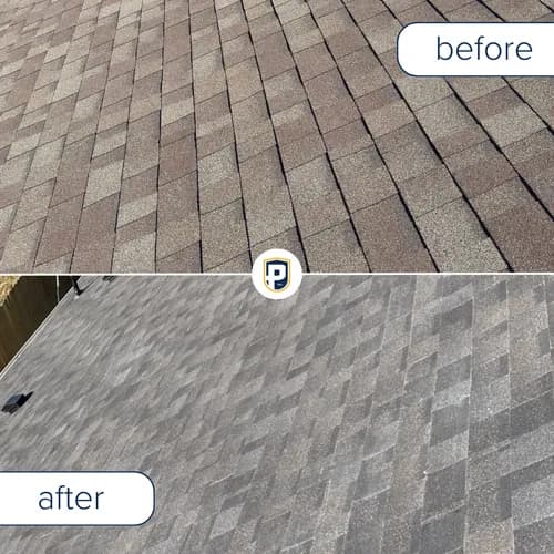 Petrali Roofing - Central