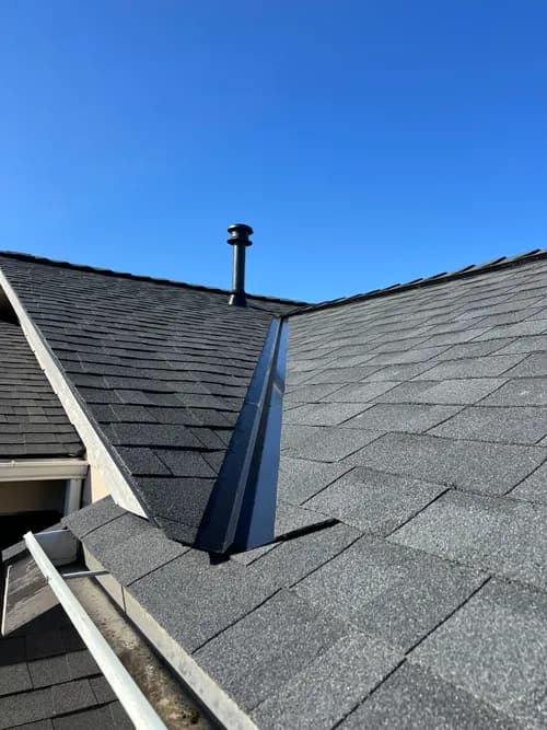Professional Roofing LLC