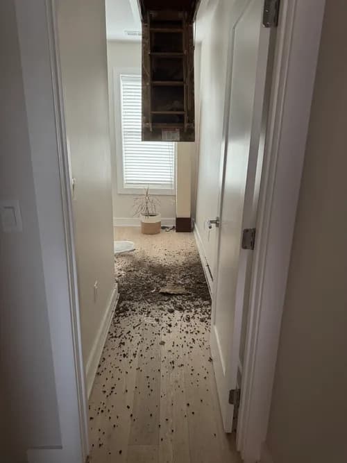 Rapid Roofing & Remodeling, LLC - Photo 5