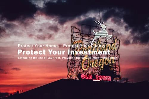 Real Estate Roofing & Mold Solutions - Photo 1