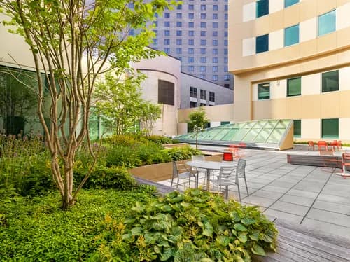 Recover Green Roofs - Photo 2