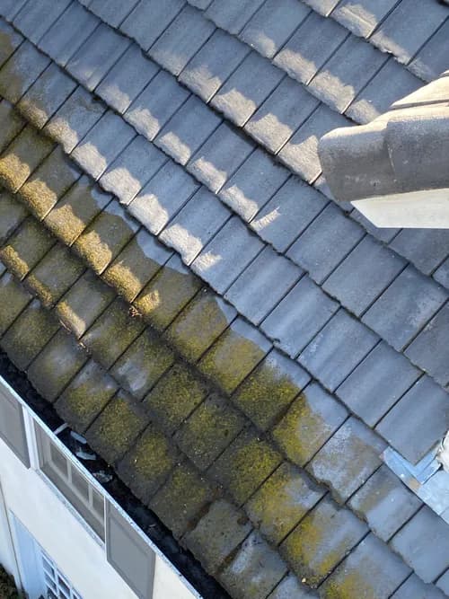 Regal Home Maintenance