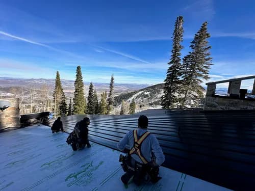 Revive Roofing & Construction