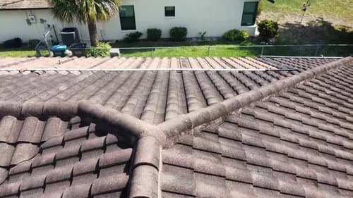 Ribbon Roofing LLC Cape Coral - Photo 1