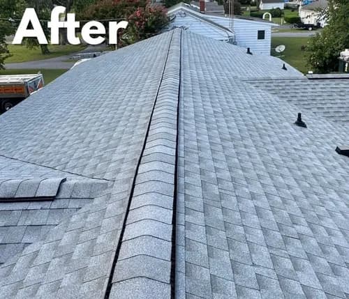 Right Service Skylight Repair and Roof Repair - Photo 4