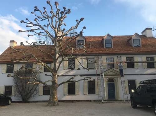 Roof Repair And Installation - Photo 3