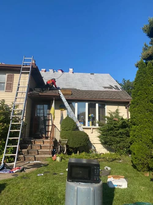 Roof Shark - Photo 3