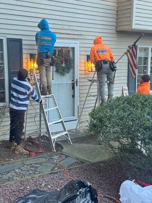 Roof Shark - Photo 2