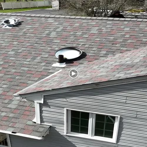 Roof Shark - Photo 4